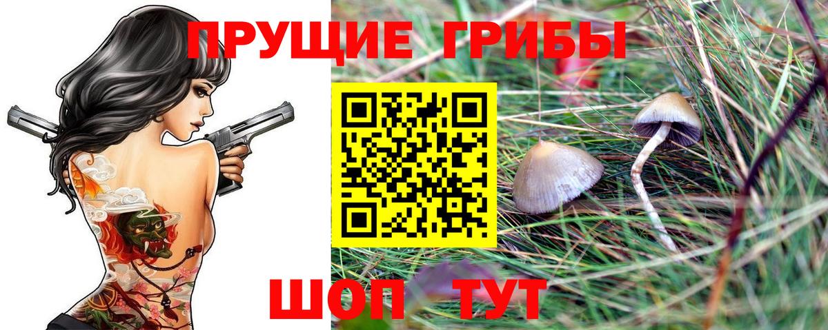 Псилоцибиновые грибы MAGIC MUSHROOMS  Вход с VPN  Нарткала  продажа наркотиков  Псилоцибиновые грибы Magic Shrooms 